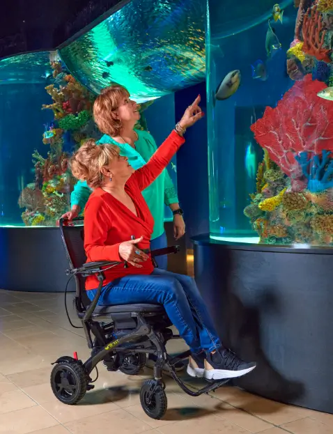 Electric wheelchair user viewing a large aquarium exhibit, providing powered mobility for sightseeing and attractions.